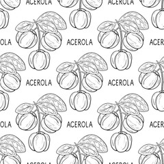 Acerola. Fruit, leaves, branch. Sketch. Monophonic. Seamless, background, wallpaper.