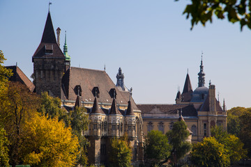 Obraz premium Vajdahunyad Castle in Budapest, Hungary