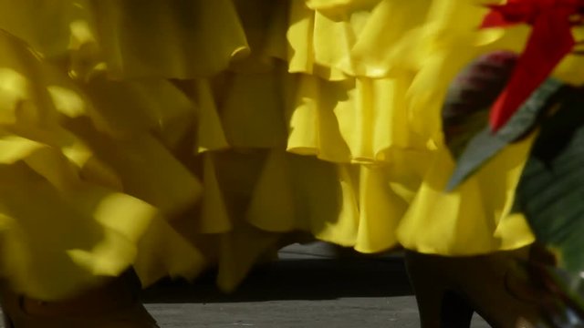 Spanish flamenco dancer dancing on a tablao or stage