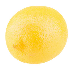 lemon isolated on a white background