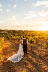 Sunny Sunset in the Vineyards with Newly Wed