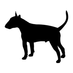 Bull Terrier. Silhouette