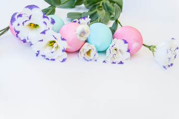 Easter eggs and spring flowers narcissi on white background