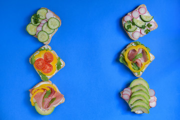 Fresh sandwich with avocado, radish, cucumber, raw ham, pepper and fresh cheese on a blue background, top view