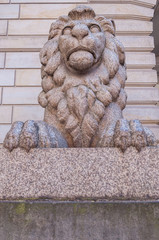 hamburg city hall; stone lion