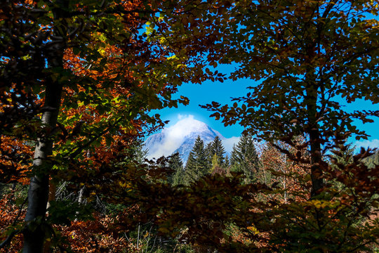 HERBSTBILDER