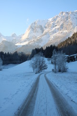 Fototapeta na wymiar Berglandschaft im Winter