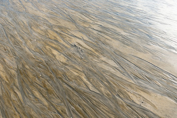 ripple marks on a sand beach