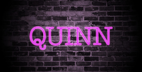 Obraz premium first name Quinn in pink neon on brick wall