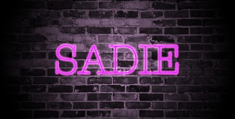Fototapeta premium first name Sadie in pink neon on brick wall