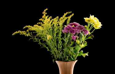 beautiful vibrant chrysanthemum flowers on black background