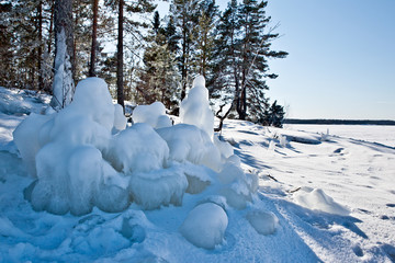 Icy bushes and stones on the shore of Lake Ladoga in sunny day