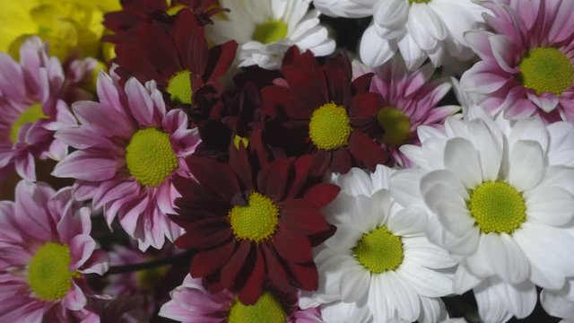 Flowers bouquet close-up