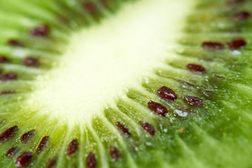 Kiwifruit also known as kiwi or Chinese gooseberry