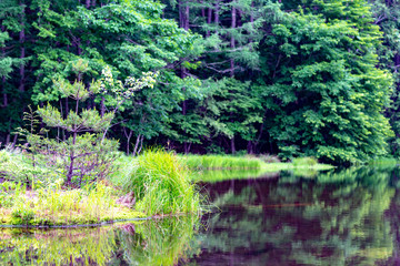 Obraz premium 上高地 大正池 長野 信州 夏 旅行 観光 名所 明神池 河童橋