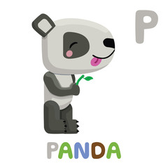 P is for Panda. Letter P. Panda., cute illustration. Animal alphabet.