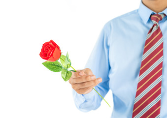 Man holding red rose in hand on white