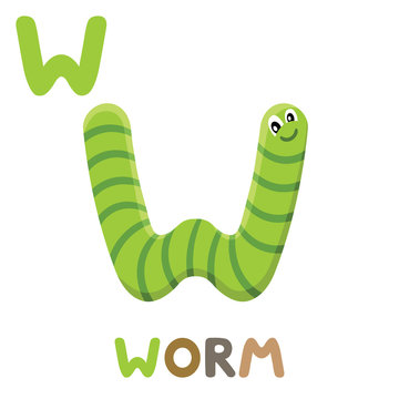 W is for Worm. Letter W. worm, cute illustration. Animal alphabet.