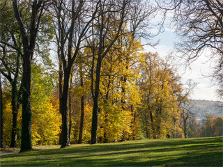 Fototapeta na wymiar Le parc de Saint Cloud à l'automne près de Paris