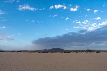 Beach of Corralejo bay at morning, Fuerteventura, Canary