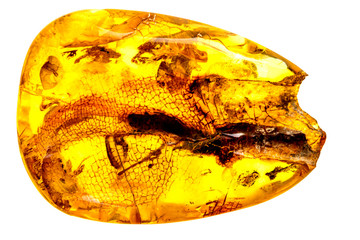 Amber stone in a closeup