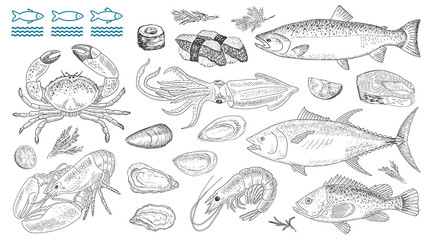 Seafood vector illustrations. Fresh sea fish, lobster, crab, oyster.