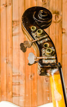Pegbox, scroll and tuning keys of a contrabass