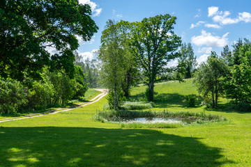 countryside yard with trees and green foliage in summer