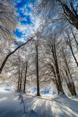 Winter landscape. Uludag, Bursa, Turkey.