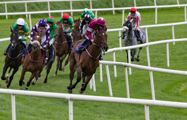 Race horse and jockey taking the lead on the final turn towards the finish line