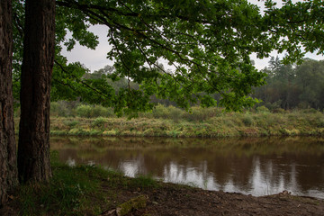 blue sky, clouds and trees from forest reflecting in calm lake water