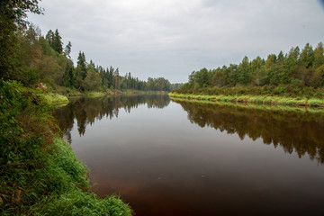 blue sky, clouds and trees from forest reflecting in calm lake water