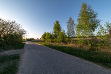 Fototapeta premium tourist walking footpath in green forest