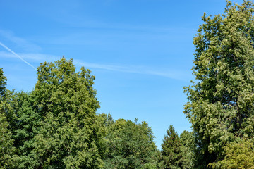 passenger plane leaves white smoke trail on blue sky