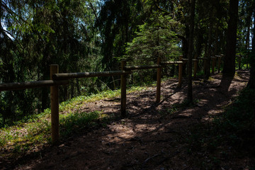 tourist walking footpath in green forest