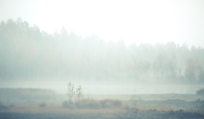 A beautiful misty landscape of a fall in wetlands. Autumn landscape in swamp, soft, diffused light, fog and haze. Sunrise in Latvia, Europe.