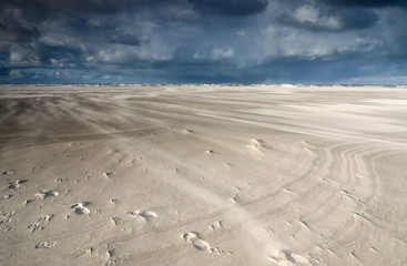 windy North sea sand beach