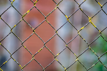 Fototapeta premium abstract textures with multi purpose lines and rhytm on household items