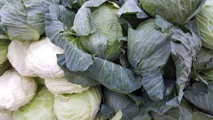 Fresh cabbage as background
