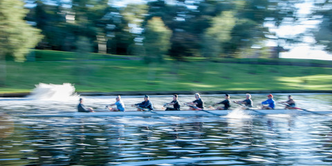 Rowers on the River Torrens