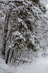 beautiful winter landscape