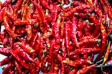 Red and black chillies are placed side by side in a large, hot and spicy chill.