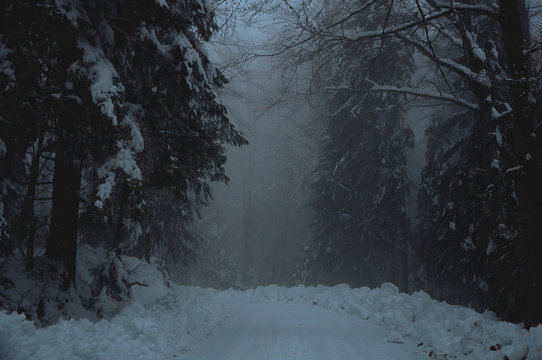 Spooky forest road covered with snow