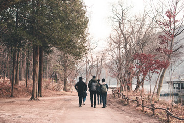 Friends walking in pathway