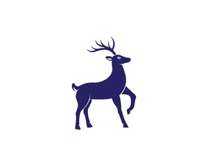 reindeer illustration design template
