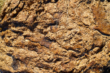 organic manure, cow manure