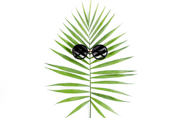 Tropical hipster leaf in sunglasses on white background. Flat laying, top view