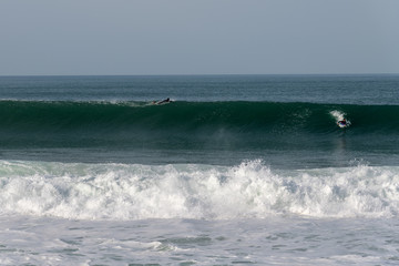 Atlantic wave and surfer, Nazare, Portugal.