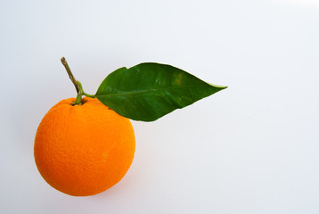 Single orange with green leaf horizontal