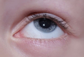 Obraz premium Blue eye